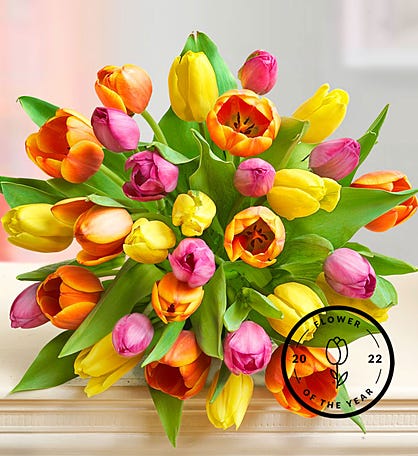 Assorted Tulip Bouquet